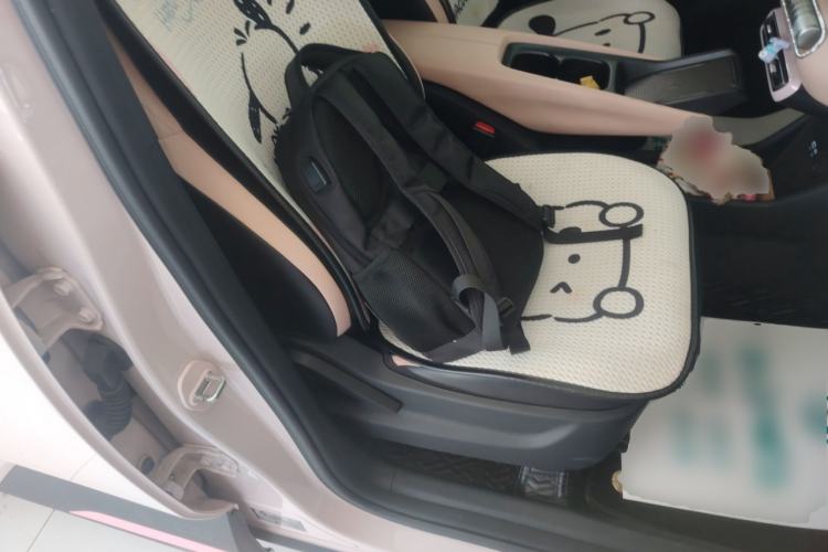 Used BYD Seagull 2024 Honor Edition 305km Freedom Version Right Front Seat