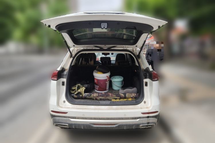 Used Haval H6 2021 National Trend Edition 1.5T Automatic Champion Version