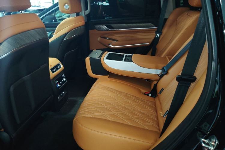 Used Tank 500 New Energy 2026 Model—Hi4-Z Smart Enjoyment Version Left Rear Seat