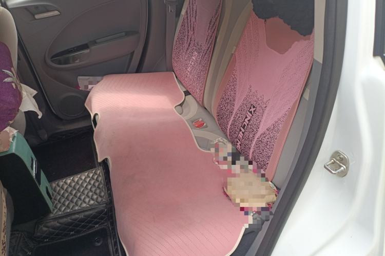 Used ORA White Cat 2020 305 km Luxury Version
