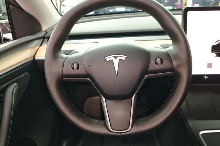 Used Tesla Model Y 2022 Rear-Wheel-Drive Version
