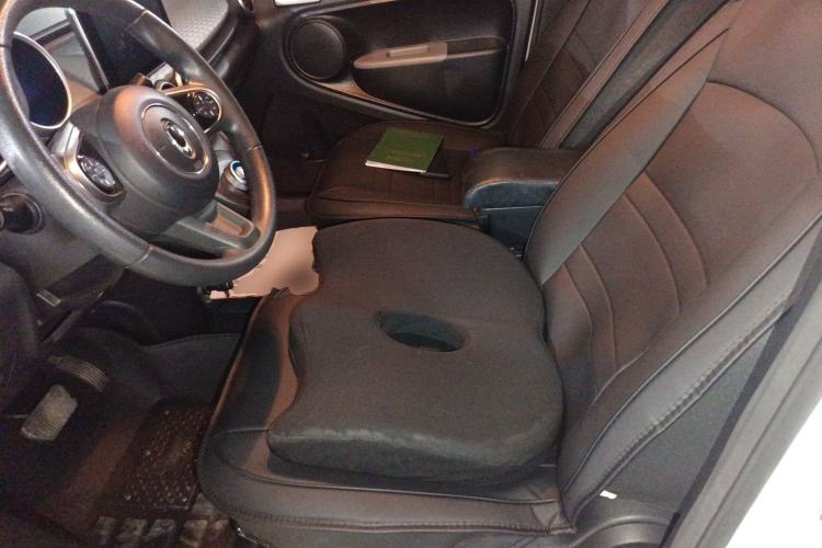 Used ORA Black Cat 2019 351 km Goddess Edition Left Front Seat