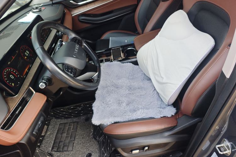 Used EXEED Zhuifeng 2019 1.6T DCT StarRui Edition
