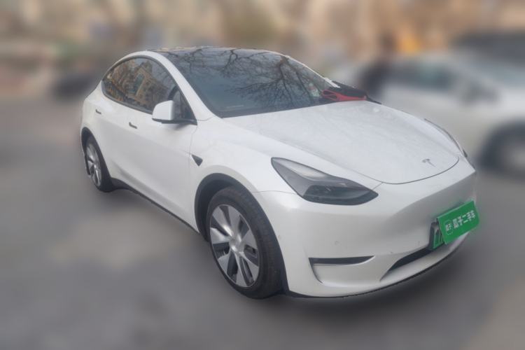 Used Tesla Model Y 2021 Standard Range Rear-Wheel Drive Version
