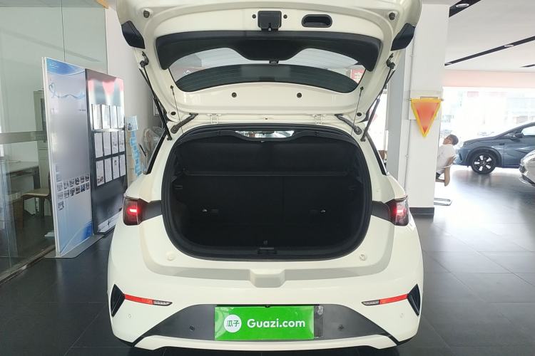 Used BYD Dolphin 2025 Intelligent Driving Version 520km Range Knight Edition Trunk