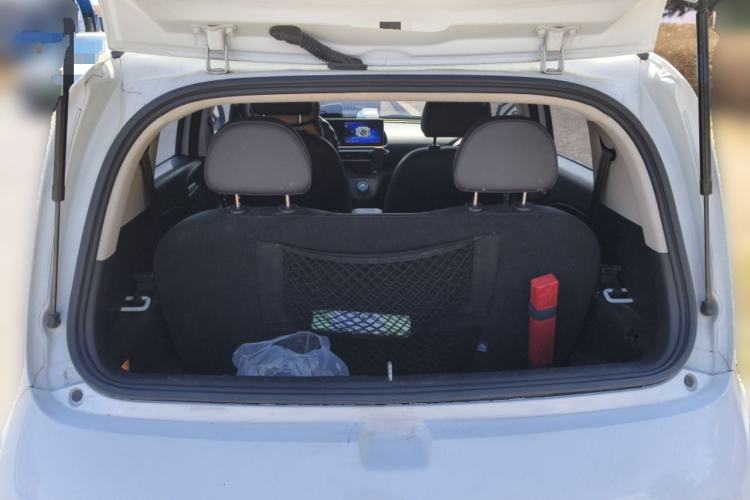 Used ORA White Cat 2020 401 km Long-Range Version
