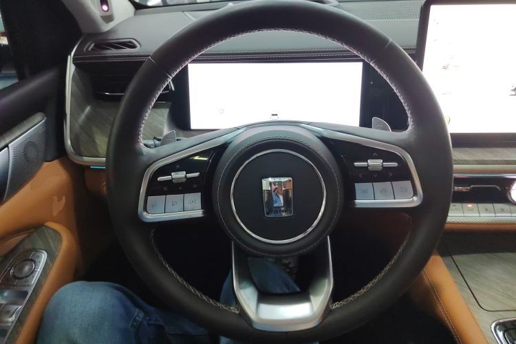 Used Tank 500 2022 3.0T Sport Edition "Creation" Version 5-Seater
