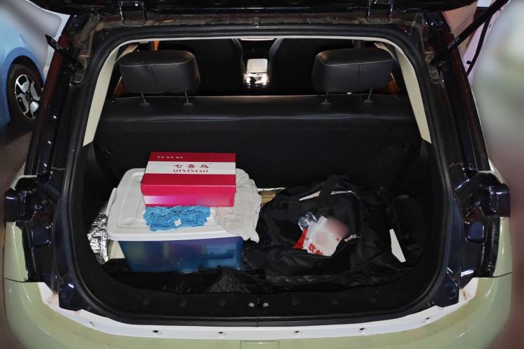 Used Electric House YOUNG Light XiaoXin 2021 L400 4-seater