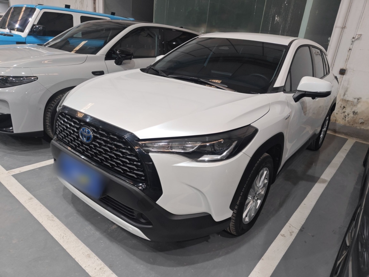 تحت مقدمة السيارة