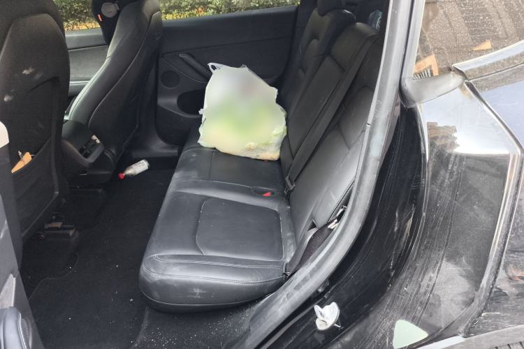 Used Tesla Model Y 2021 Standard Range Rear-Wheel Drive Version
