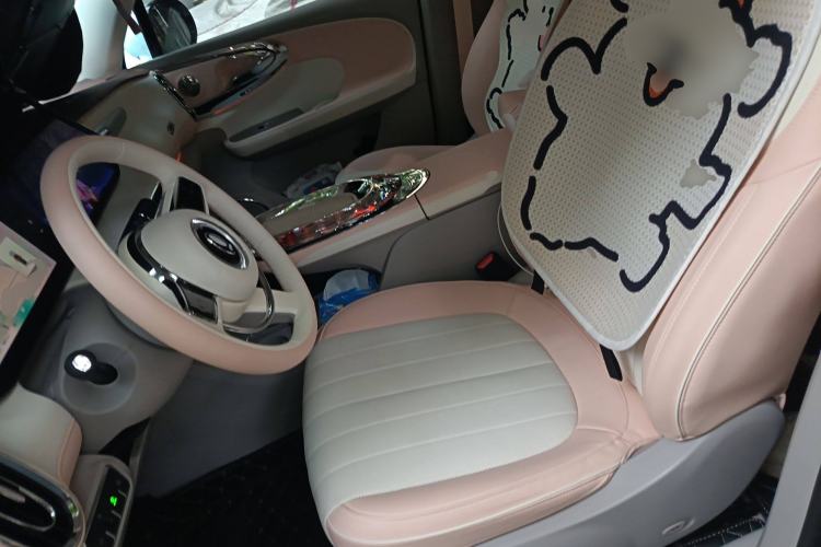 Used ORA Ballet Cat 2023 401 km Luxury Version