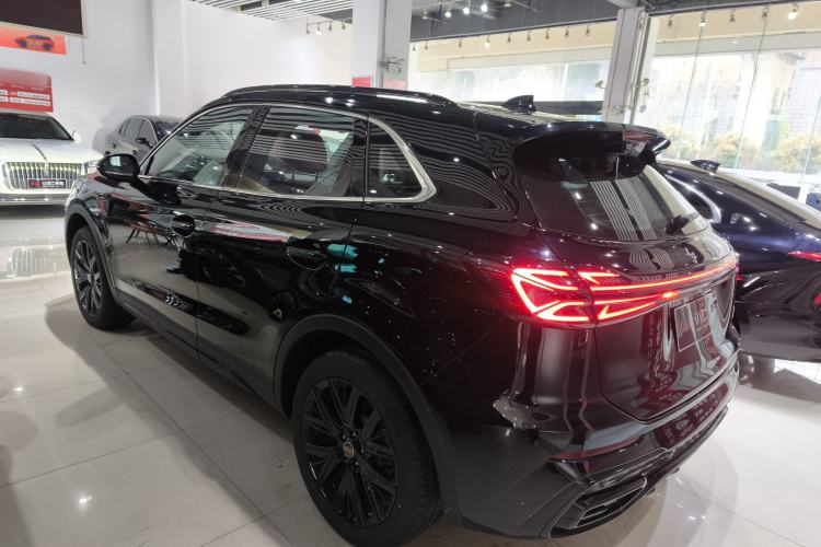 Used Hongqi HS5 2025 2.0T Two-Wheel-Drive Xuan Ying Edition