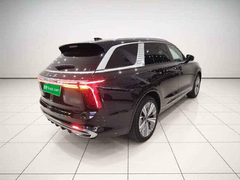 Used Hongqi E-HS9 2021 460 km Range Flagship Edition Six-Seater — 6