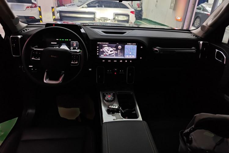 Used Haval DARGO 2024 2.0T DCT Chinese Rural Dog Edition
