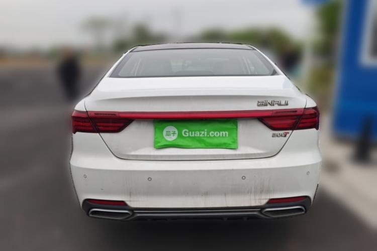 Used Geely Auto Binray 2019 200T DCT Binzhi Edition Rear