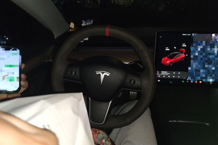 Used Tesla Model 3 2021 Performance High-Performance All-Wheel-Drive Version