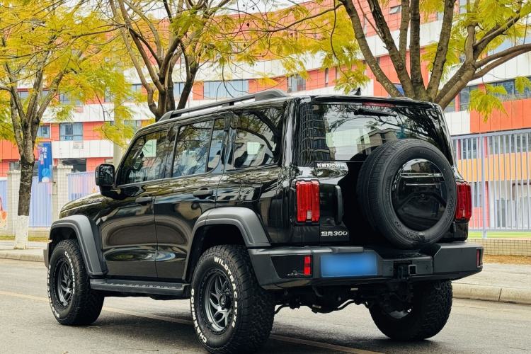 Used Tank 300 2024 2.0T Conqueror