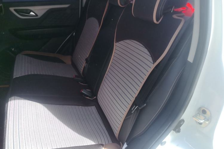 Used SOL E10X 2022 Flower Fairy Style Baby's Breath
