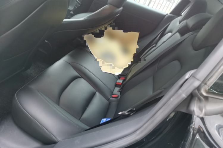 Used Tesla Model 3 2021 Standard Range Rear-Drive Upgraded Version
