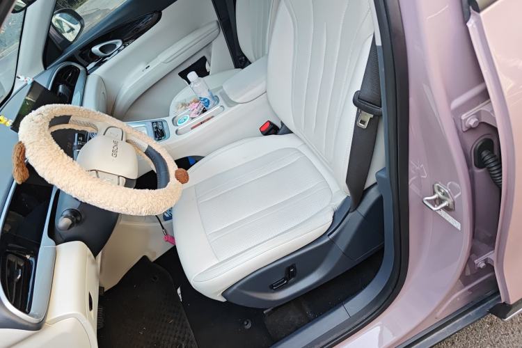 Used Geely Galaxy Geome 2025 UP 410km Exploration Edition Left Front Seat