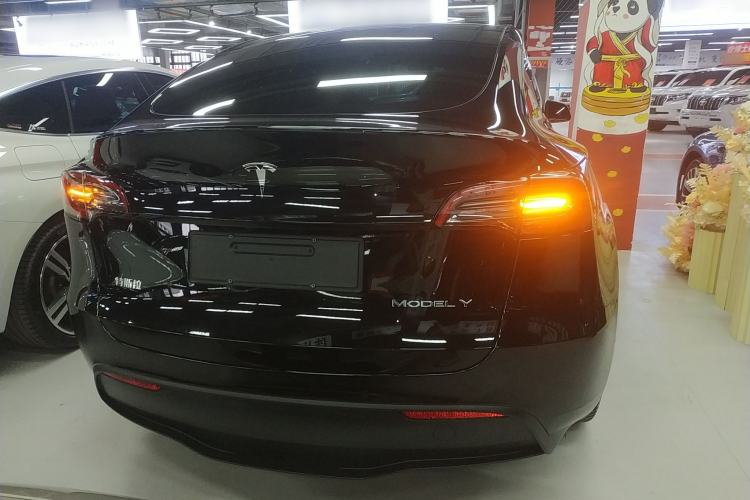 Used Tesla Model Y 2021 Standard Range Rear-Wheel Drive Version
