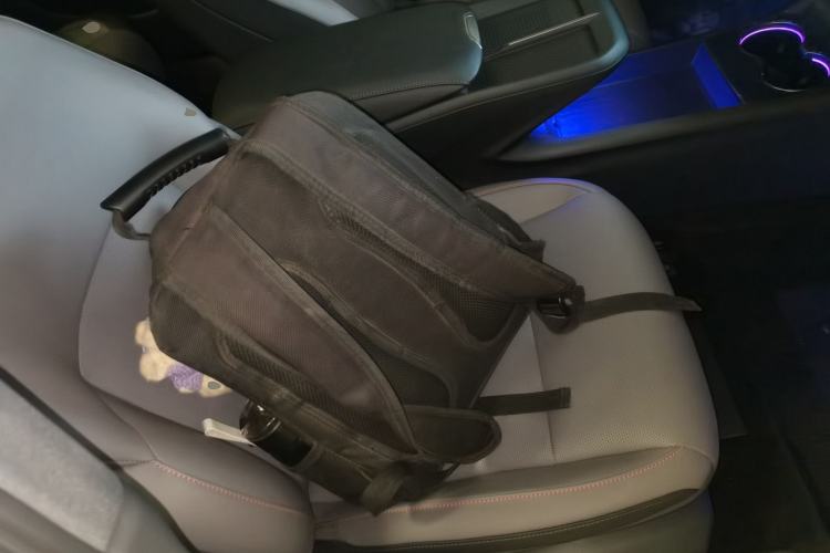 Used Hongqi EH7 2025 600 Smart Selection Edition
