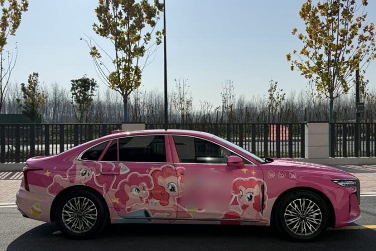 Used Hongqi H5 2024 1.5T DCT Smart Connect Flagship Edition
