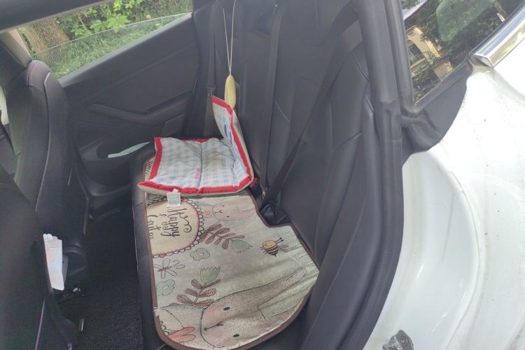 Used Tesla Model 3 2020 Revised Version Standard Range Rear-Wheel Drive – Upgraded Edition
