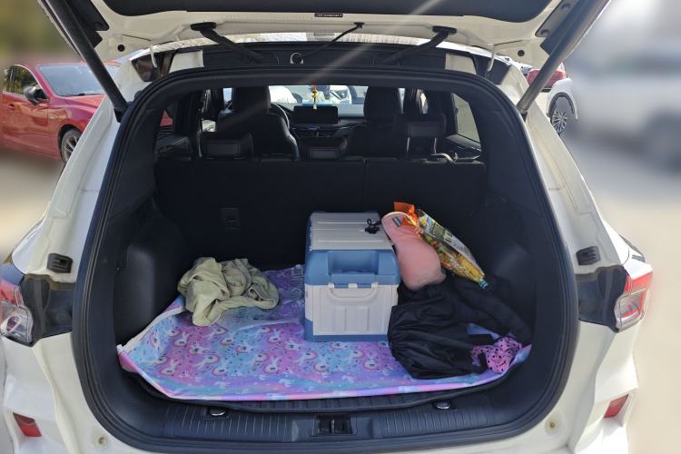 Used Ford Escape 2020 EcoBoost 245 Four-Wheel Drive ST-LINE Deluxe Edition