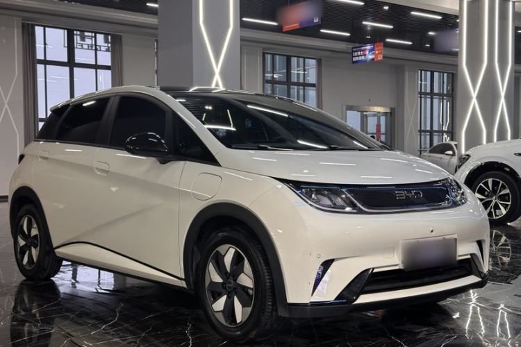 Used BYD Dolphin 2024 Honor Edition 420km Fashion Version Exterior 3