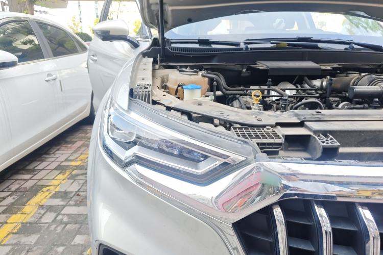 Used Hongqi HS5 2019 2.0T Smart Connect Flagship Edition
