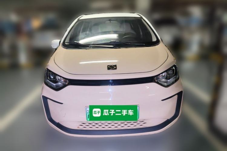 Used SOL E10X 2022 Flower Fairy Design Four-Leaf Clover
