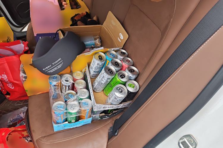 Used Buick Regal 2017 20T Elite Edition Interior 4