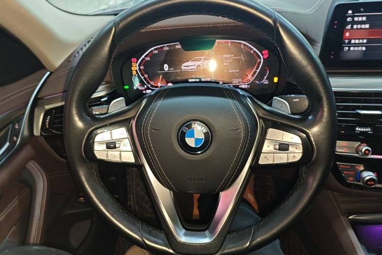 Used BMW 5 Series 2020 530Li Leading Edition Luxury Package