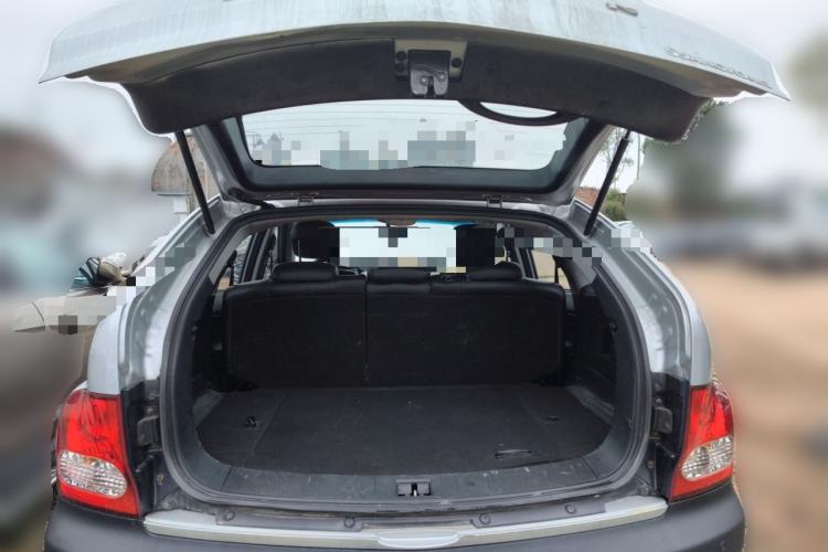 Used SsangYong Actyon 2011 2.0T Two-Wheel-Drive Luxury Diesel Edition Trunk