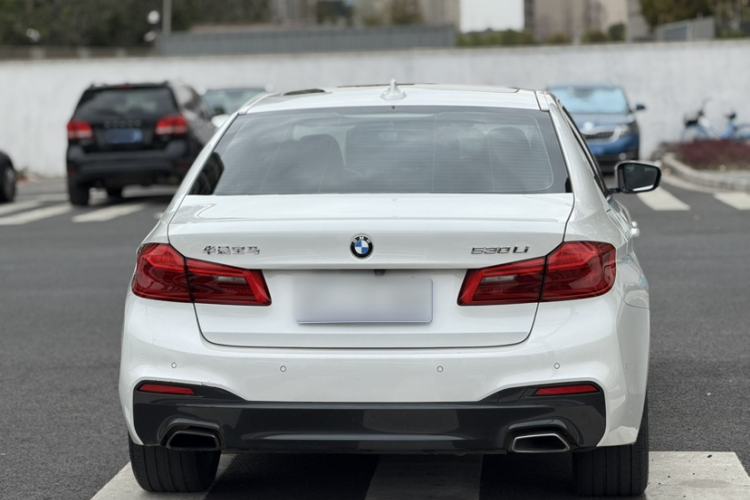 Used BMW 5 Series 2020 530Li Luxury Edition M Sport Package Exterior 7