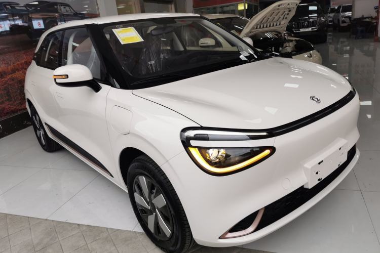 Used Dongfeng NAMMI 01 2025 330KM Youth Edition
