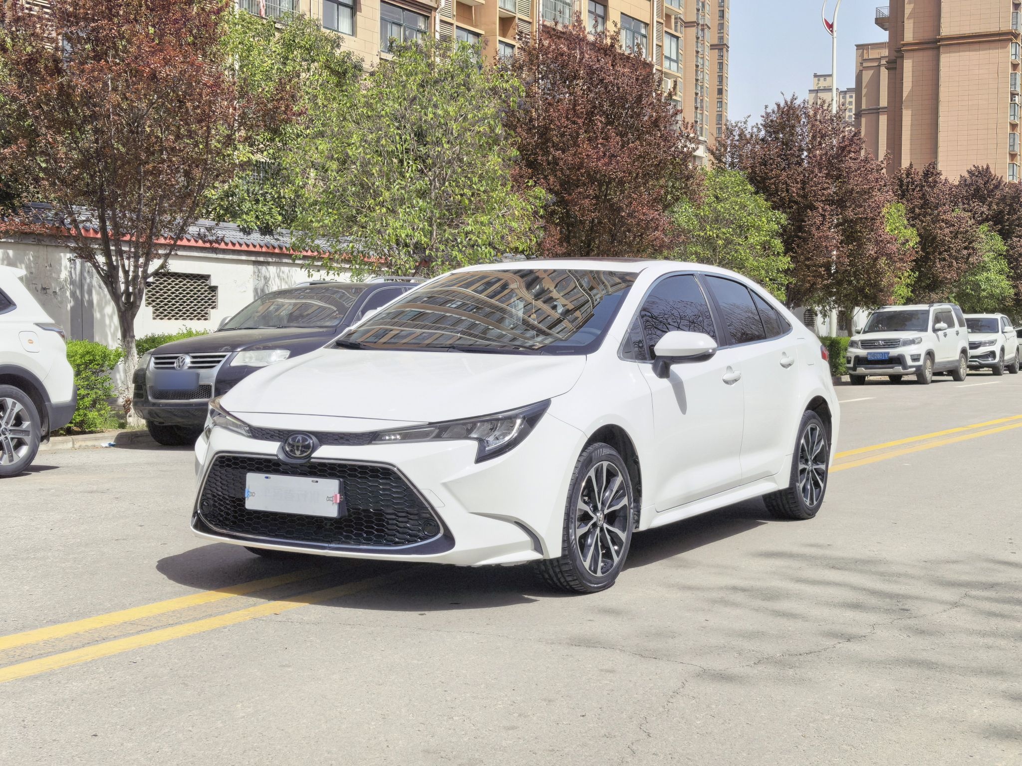 Parte inferior delantera