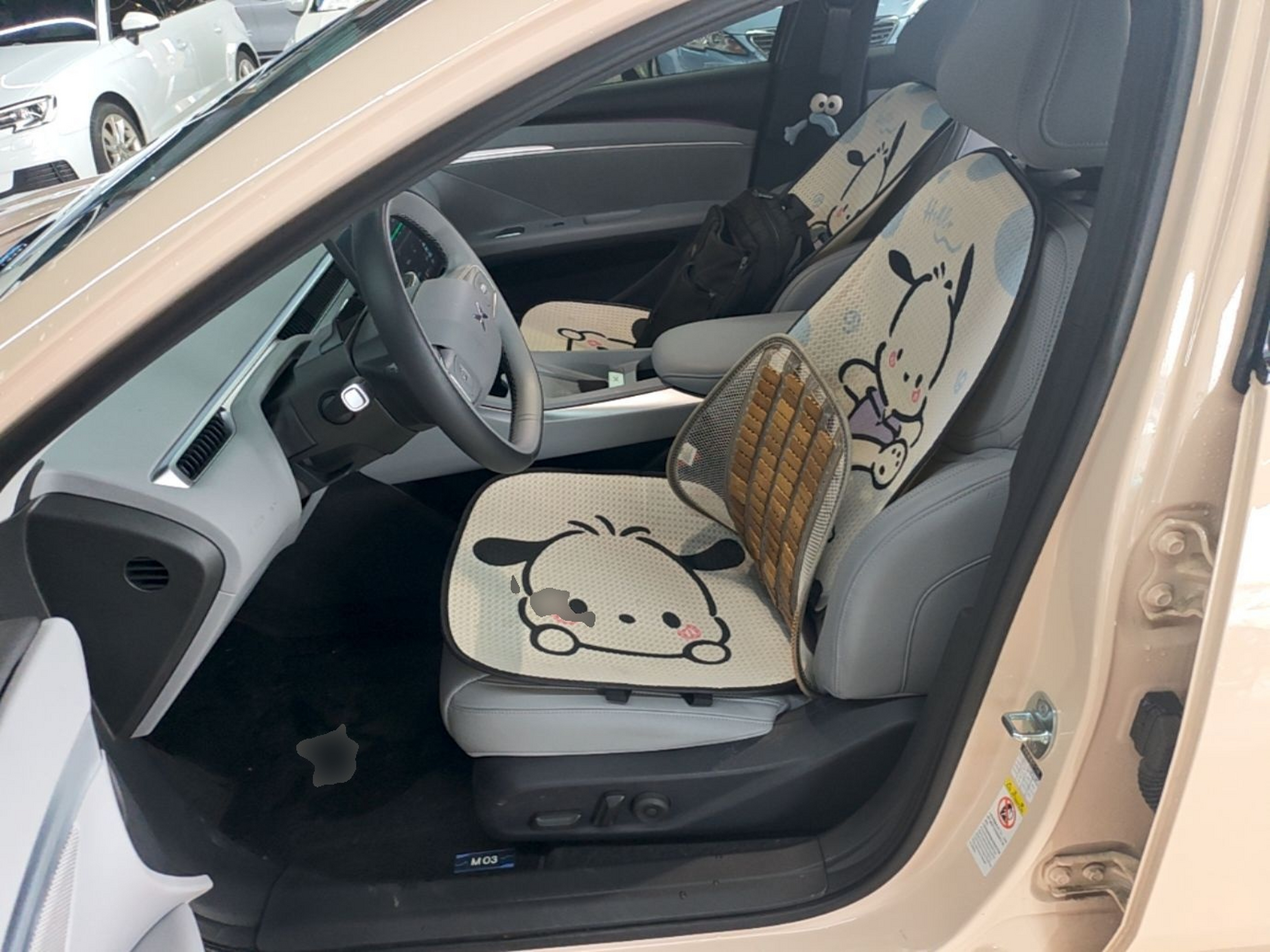 Interior delantero