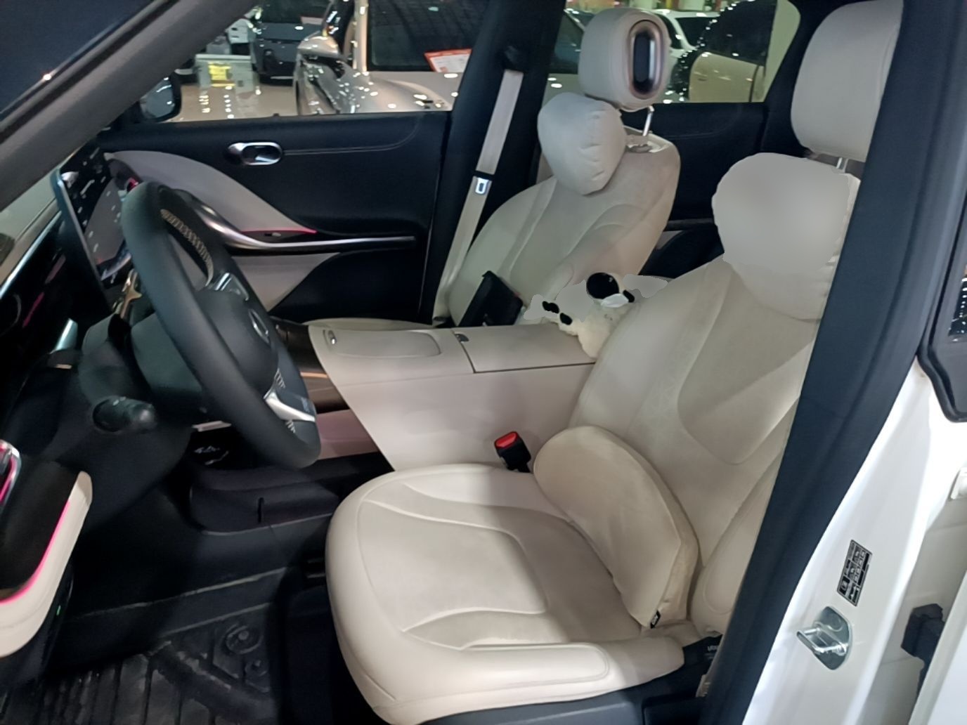 Interior delantero