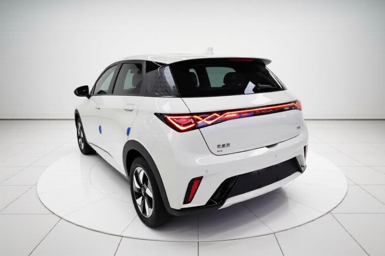 Used BYD Dolphin 2025 420km Free Edition