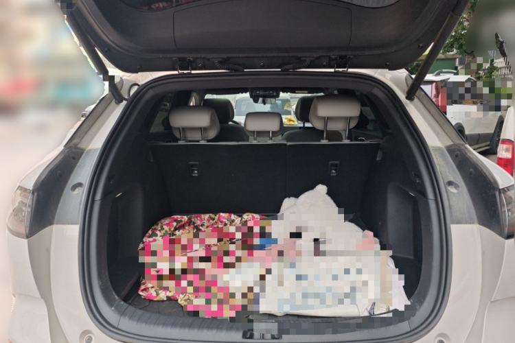 Used BYD Sealion 06 New Energy 2025 Model EV 605 Navigation Pro Edition Trunk