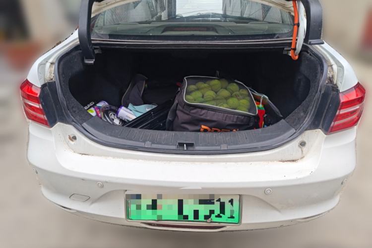 Used BYD Qin New Energy 2017 Qin 1.5T 100
