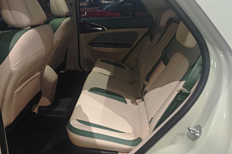 Used ORA Good Cat 2024 501 km Luxury Version Left Rear Seat