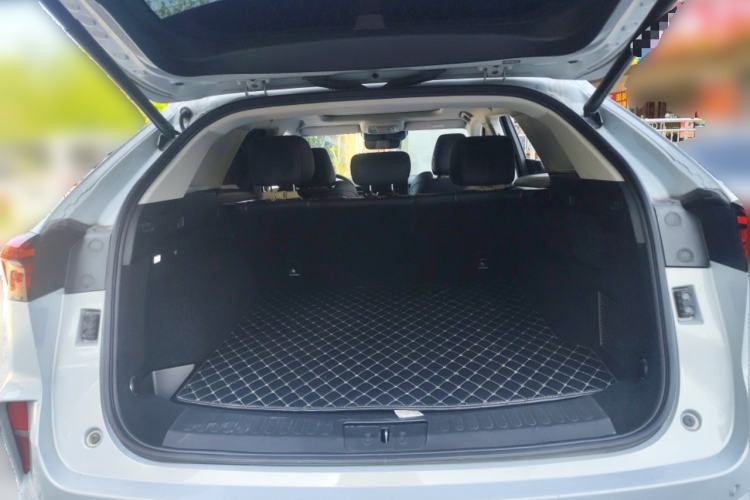 Used Wey Mocha 2021 2.0T Two-Wheel Drive Special Edition
