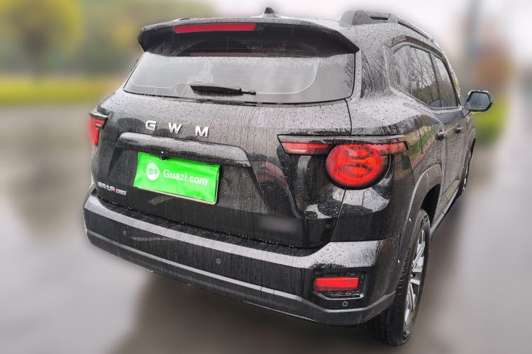 Used Haval H Dog 2026 Model 2.0T Trendy Wilderness Edition
