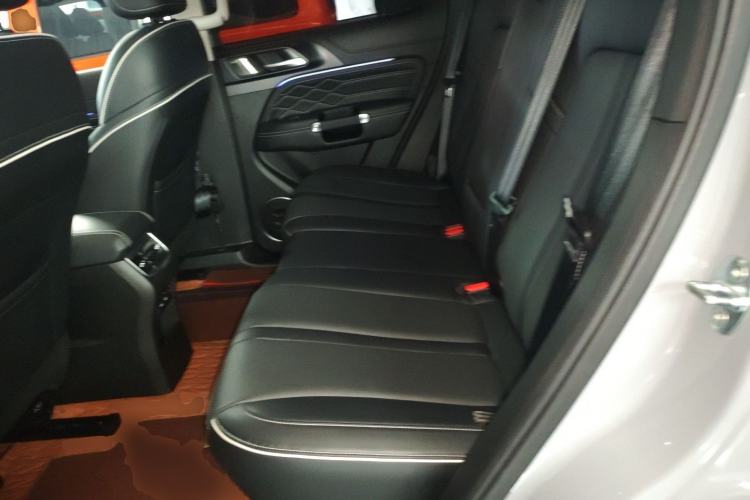 Used Tank 300 2023 Off-Road Edition 2.0T Conqueror Left Rear Seat