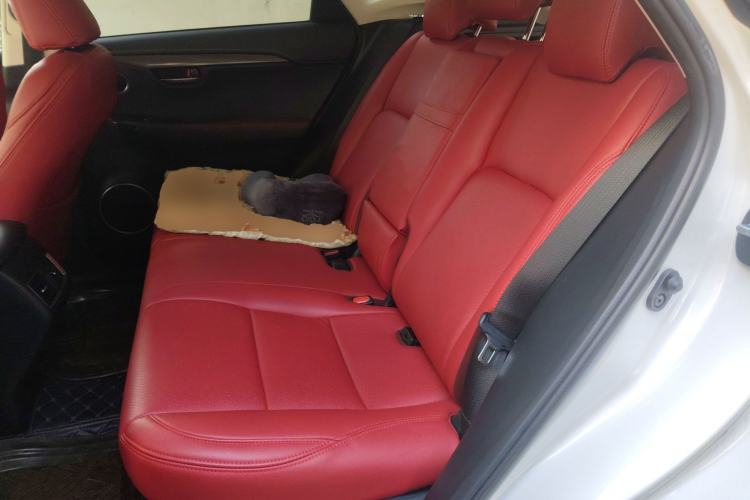 Used Lexus NX 2018 200 Front-Wheel-Drive X-Trail Version China V Standard
