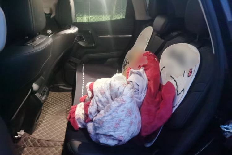 Used Haval H Dog 2023 1.5T Two-Wheel Drive Chao Ye Version Plus Left Rear Seat