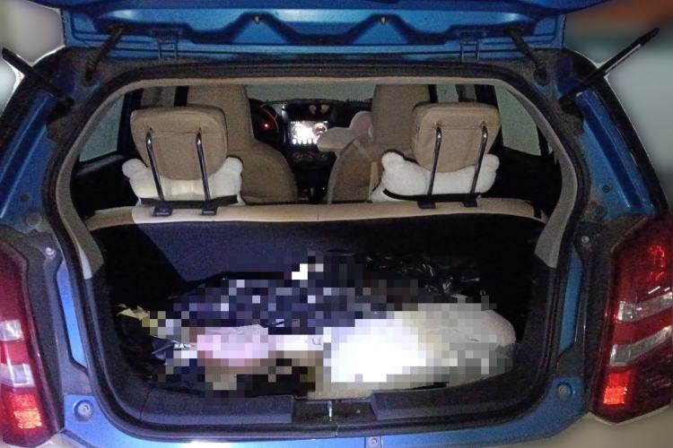 Used Suzuki Alto 2013 1.0L Automatic Luxury Model Trunk